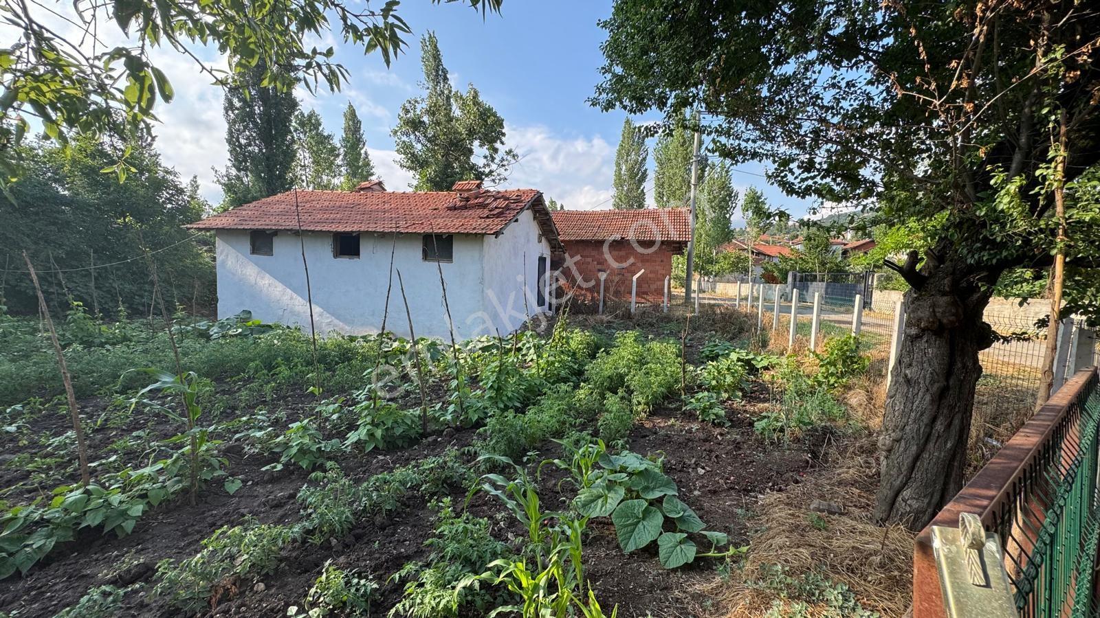 Balıkesir Kepsut Bükdere Mahallesinde Arsa - Görsel 10