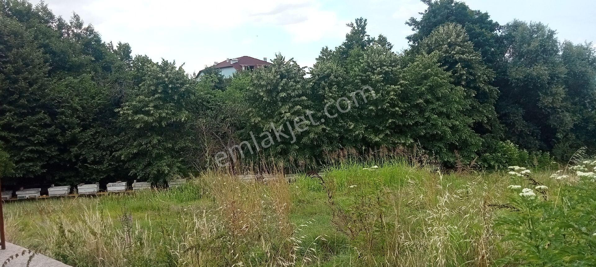 Kuloğlu Emlak & İnşaat'tan Kartepe Suadiye'de %40 İmarlı 2.240 M² Satılık Konut Arsası - Görsel 23