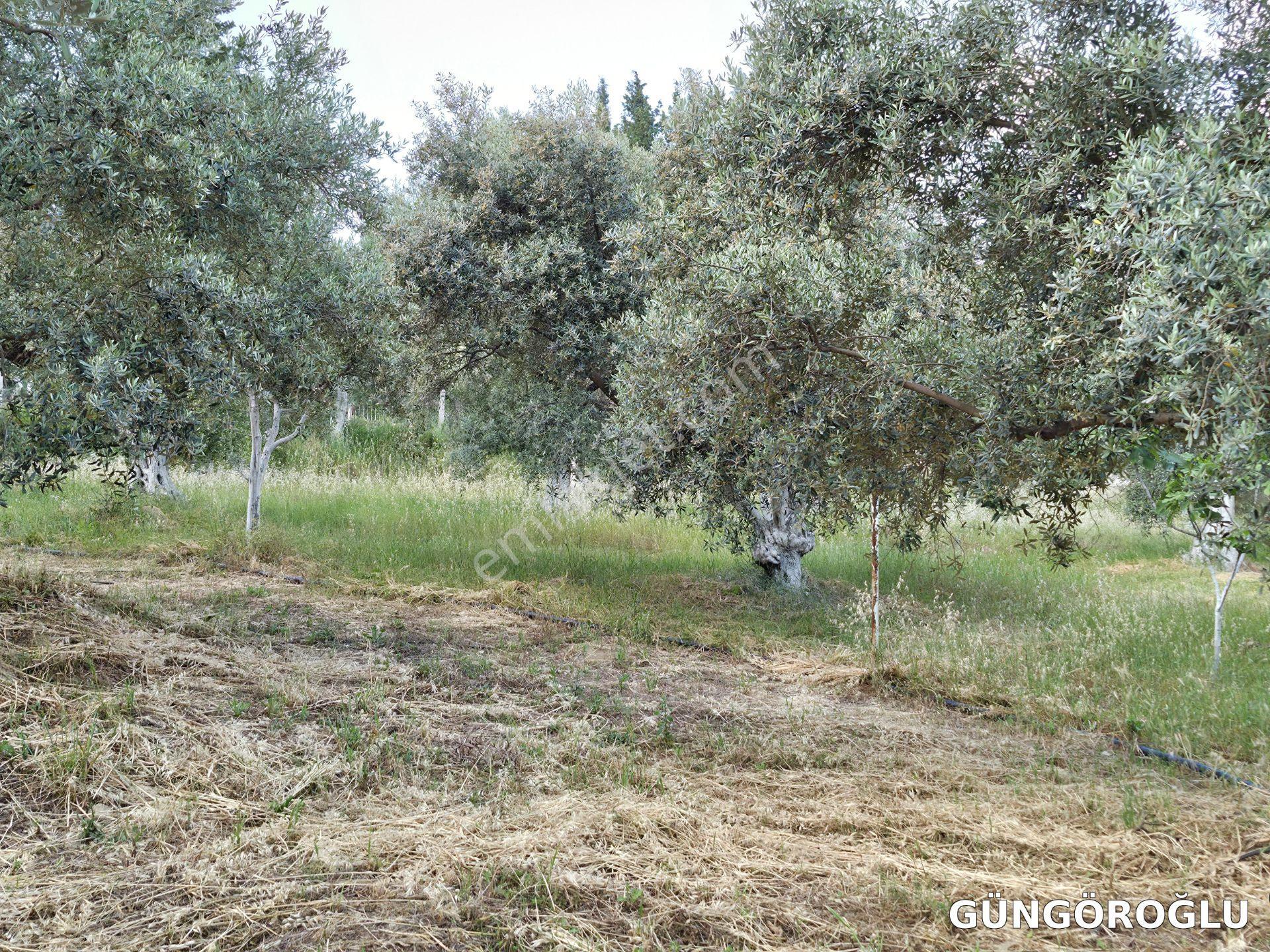 Akçaşehir Satılık İmarlı Arsa - Onaylı Projeli - Yola Sıfır 750 M2 - Görsel 11