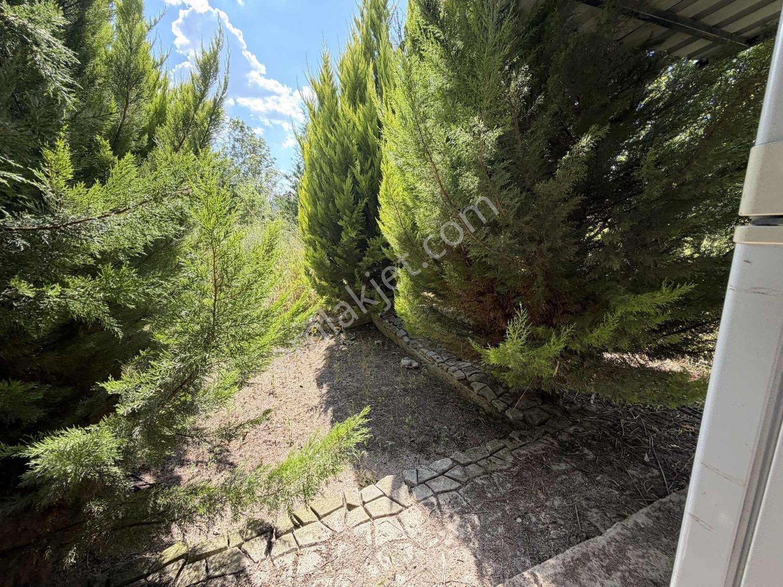 Edirne Değirmenyeni Köyünde 2.213 M2 Hobi Bahçesi - Görsel 6