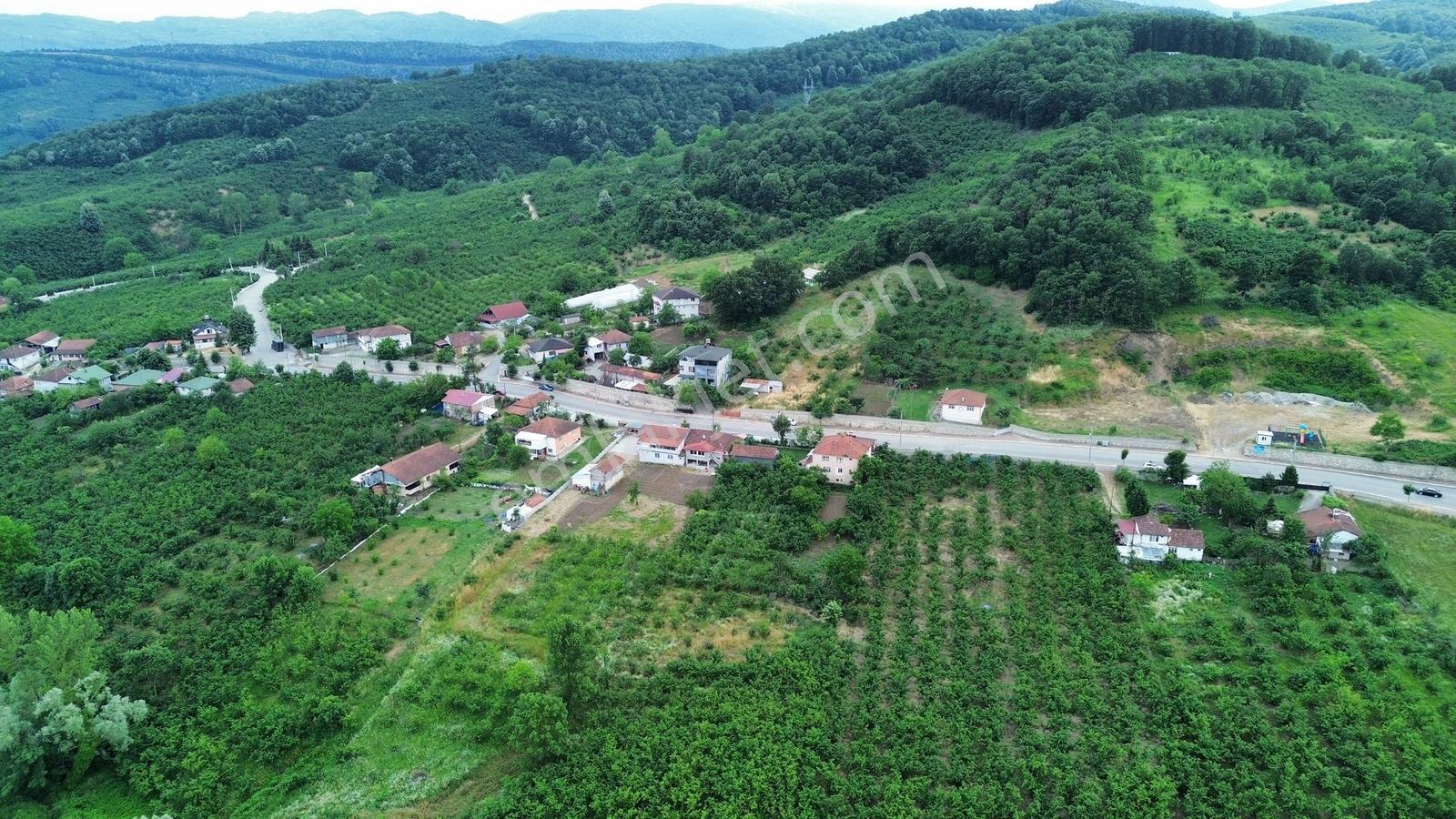 Gümüşova Hacılarda Doğa Manzaralı Konut İmarlı 401 M² Arsa - Görsel 13