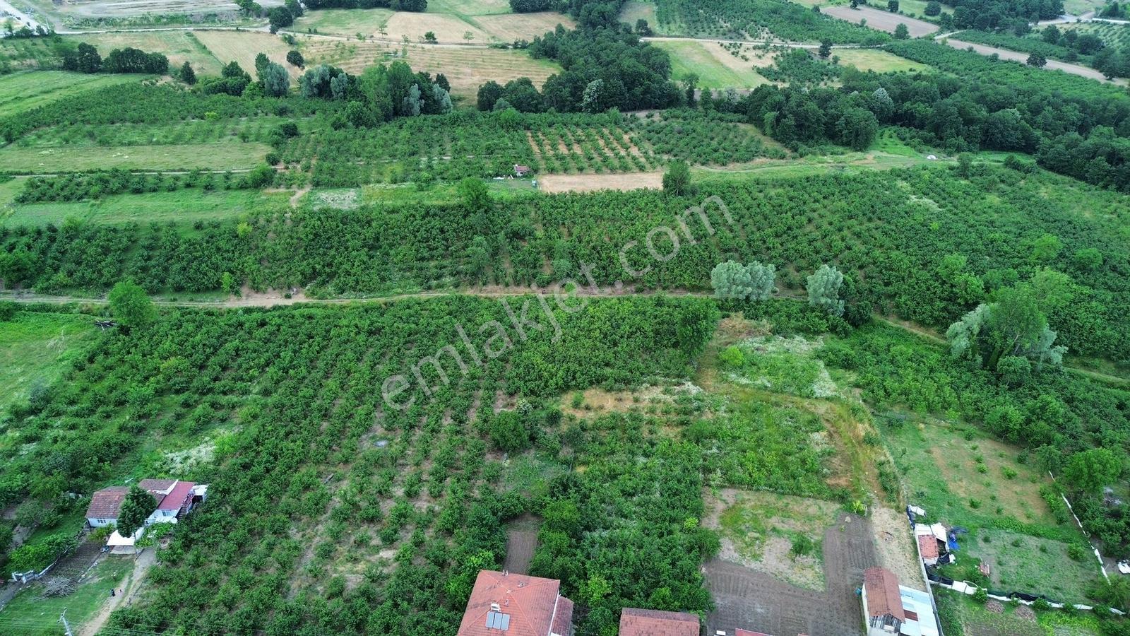 Gümüşova Hacılarda Doğa Manzaralı Konut İmarlı 401 M² Arsa - Görsel 2