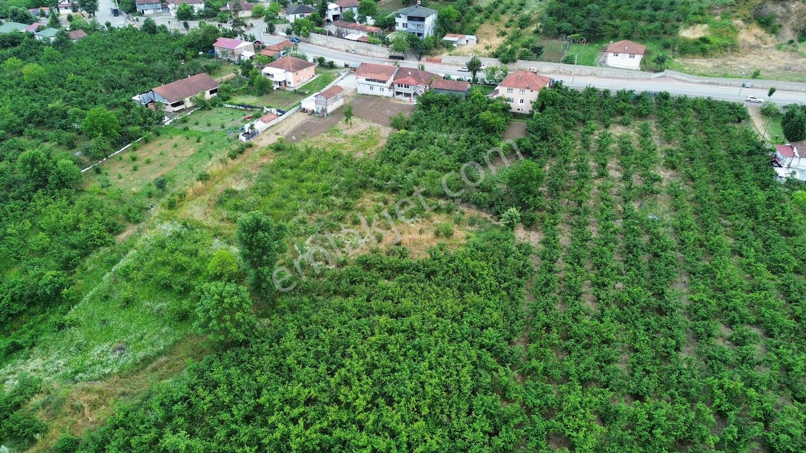 Gümüşova Hacılarda Doğa Manzaralı Konut İmarlı 401 M² Arsa - Görsel 10