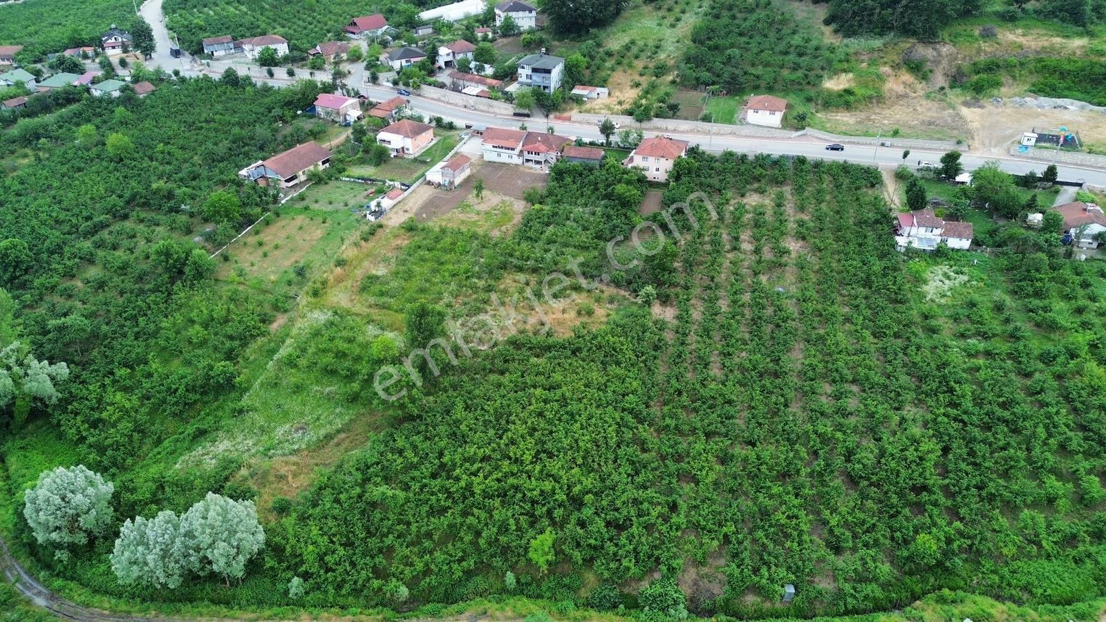 Gümüşova Hacılarda Doğa Manzaralı Konut İmarlı 401 M² Arsa - Görsel 11