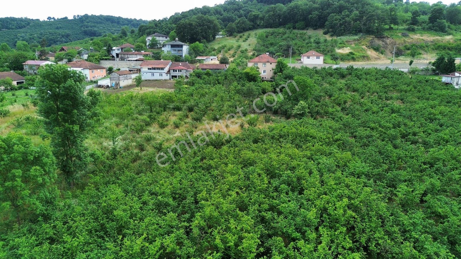 Gümüşova Hacılarda Doğa Manzaralı Konut İmarlı 401 M² Arsa - Görsel 7