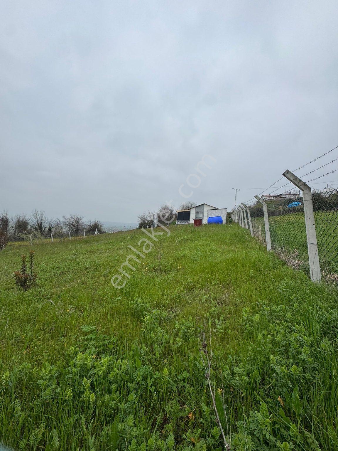 Tekkeköy De Satılık 1.234 M2 İmarlı Arsa İçinde Müstakil Yazlık Ev - Görsel 35