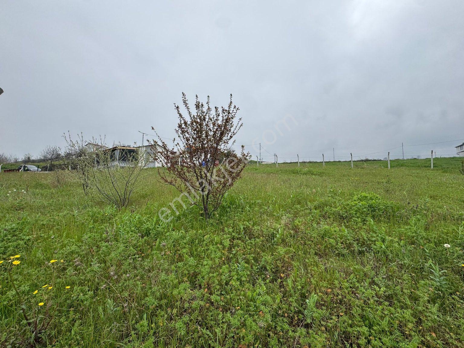 Tekkeköy De Satılık 1.234 M2 İmarlı Arsa İçinde Müstakil Yazlık Ev - Görsel 7