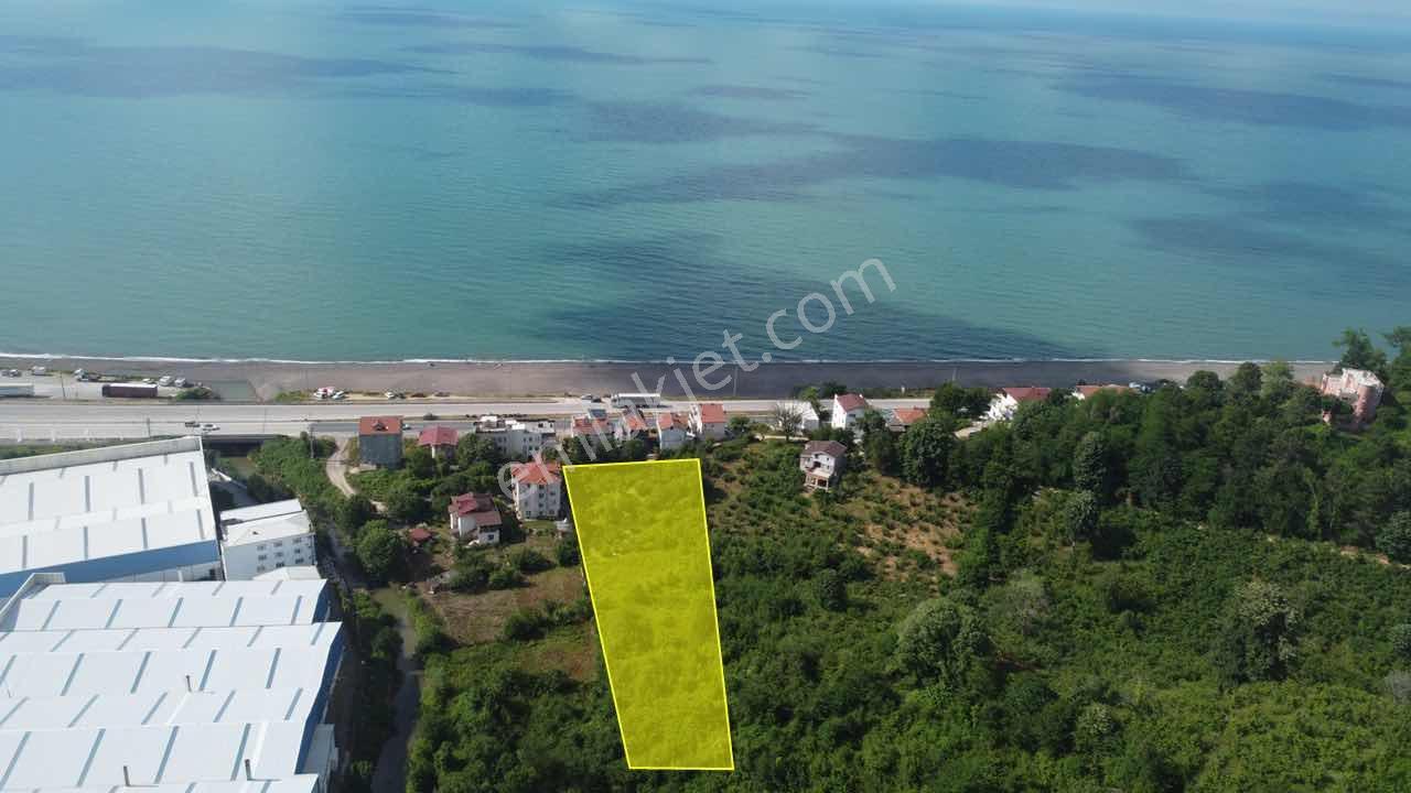 Akçakoca Köy İçinde Denize Yakın İmarlı Arsa - Görsel 3