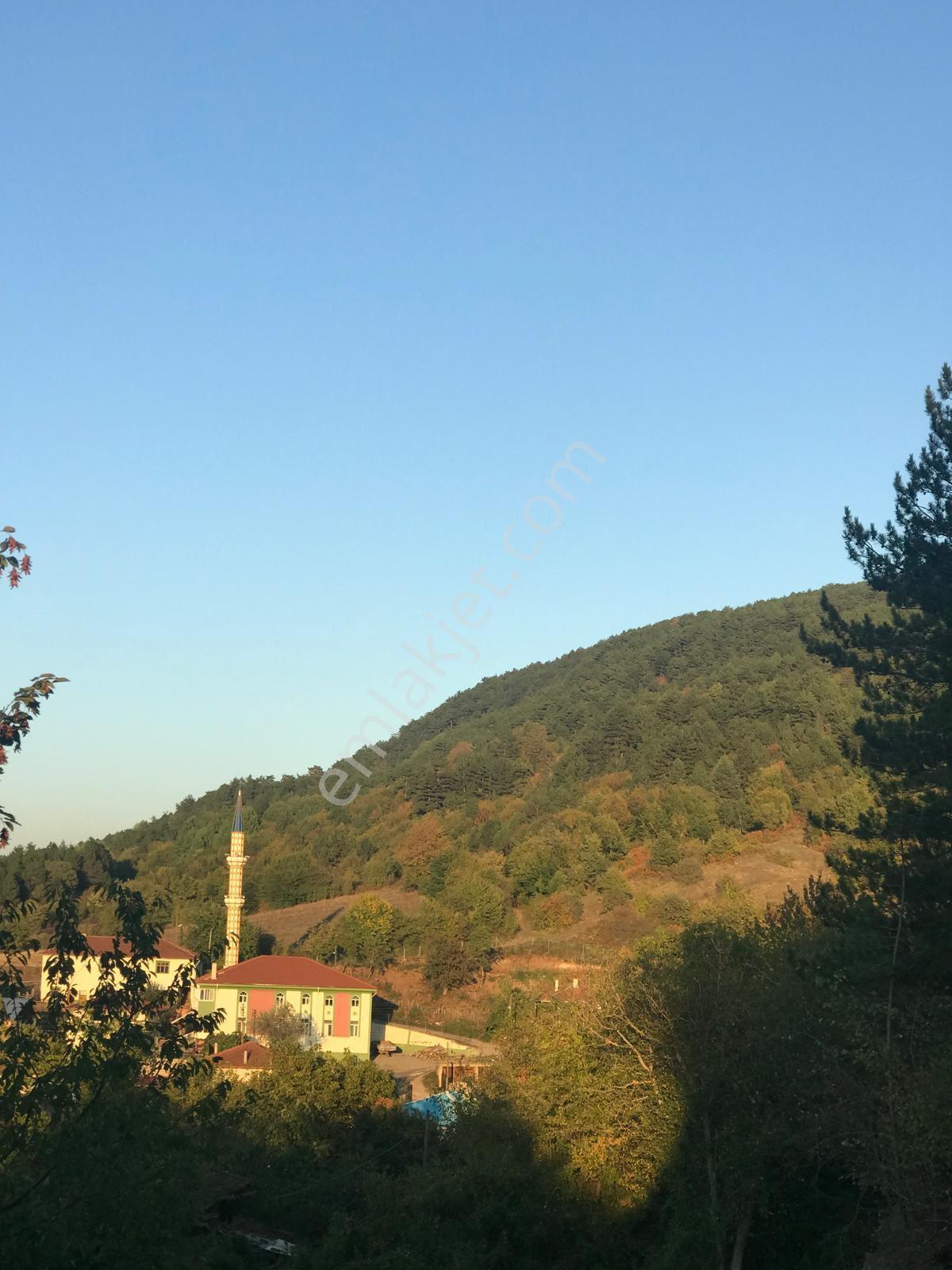 Baolu Afşar Köyiçi Yapı Kayıtlı Fırsat Arsa - Görsel 18