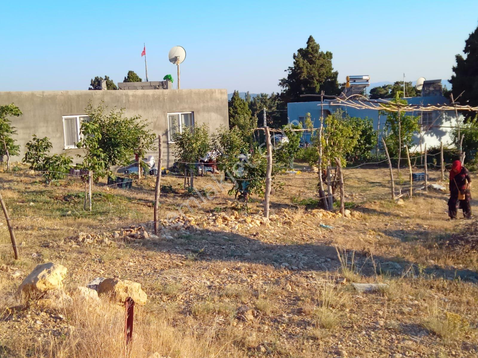 Distas Yaylasında Yazpinarinda Satılık Parsel