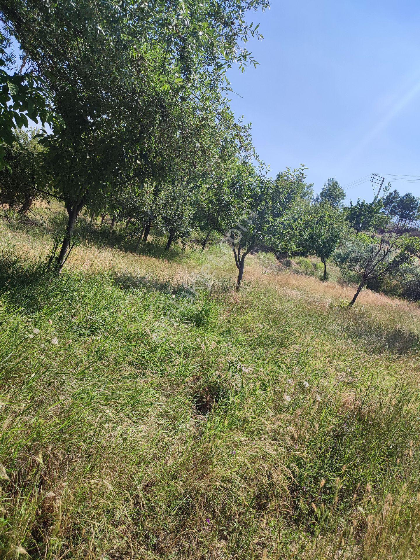 Müstakil Tapulu İki Kata Konut İmarlı Arsa - Görsel 2