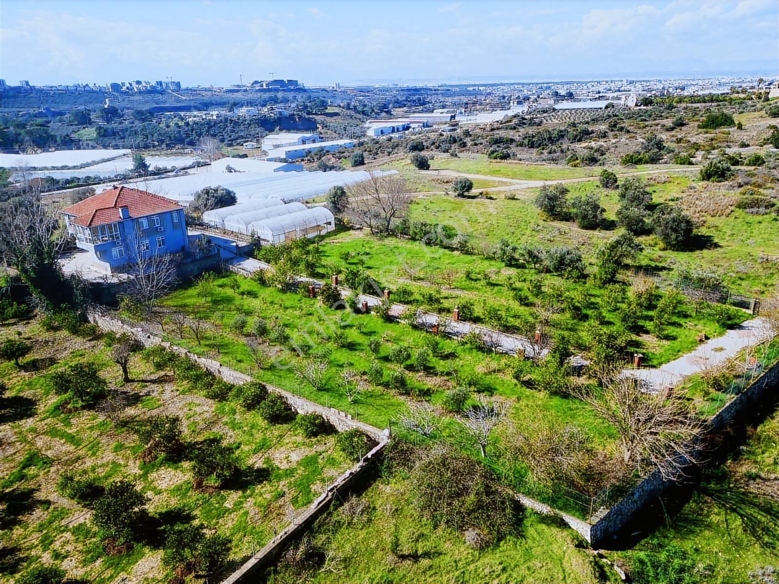 Aksu Mandırlarda 4.297 M² Arsa İçerisinde Müstakil Villa - Görsel 8