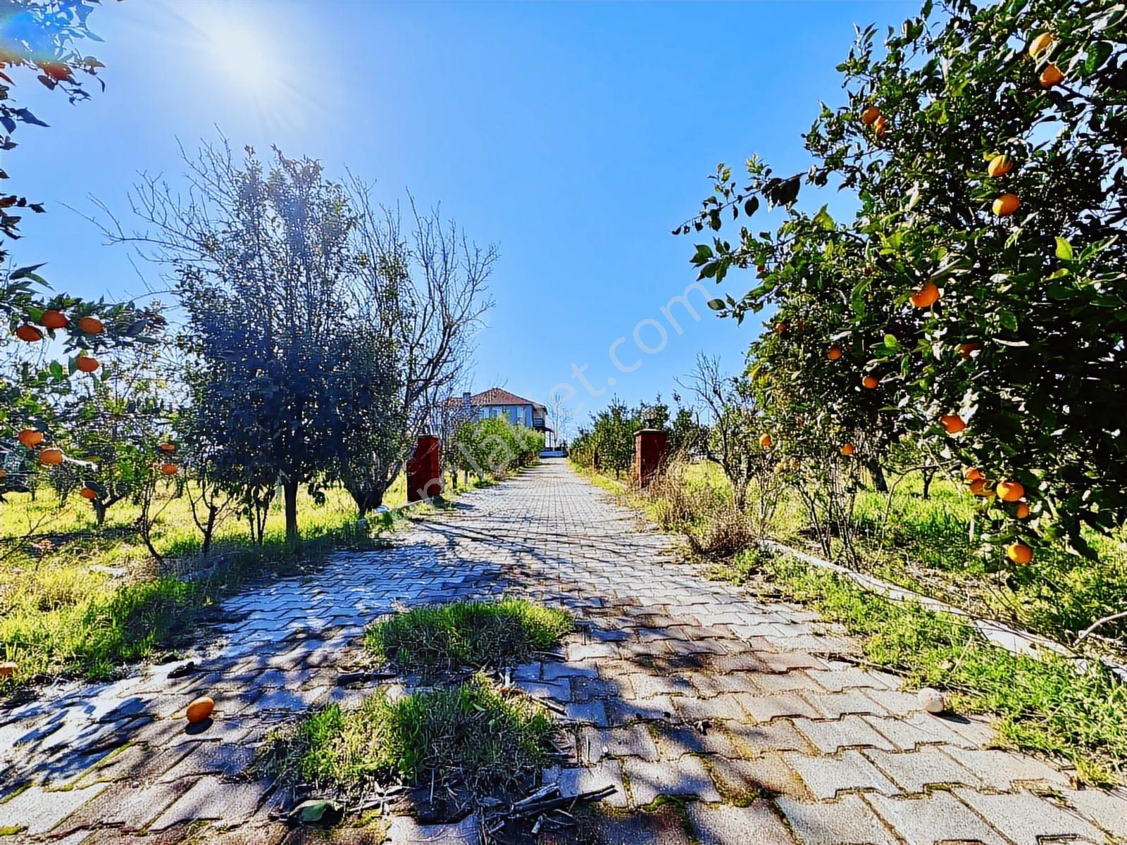 Aksu Mandırlarda 4.297 M² Arsa İçerisinde Müstakil Villa - Görsel 4