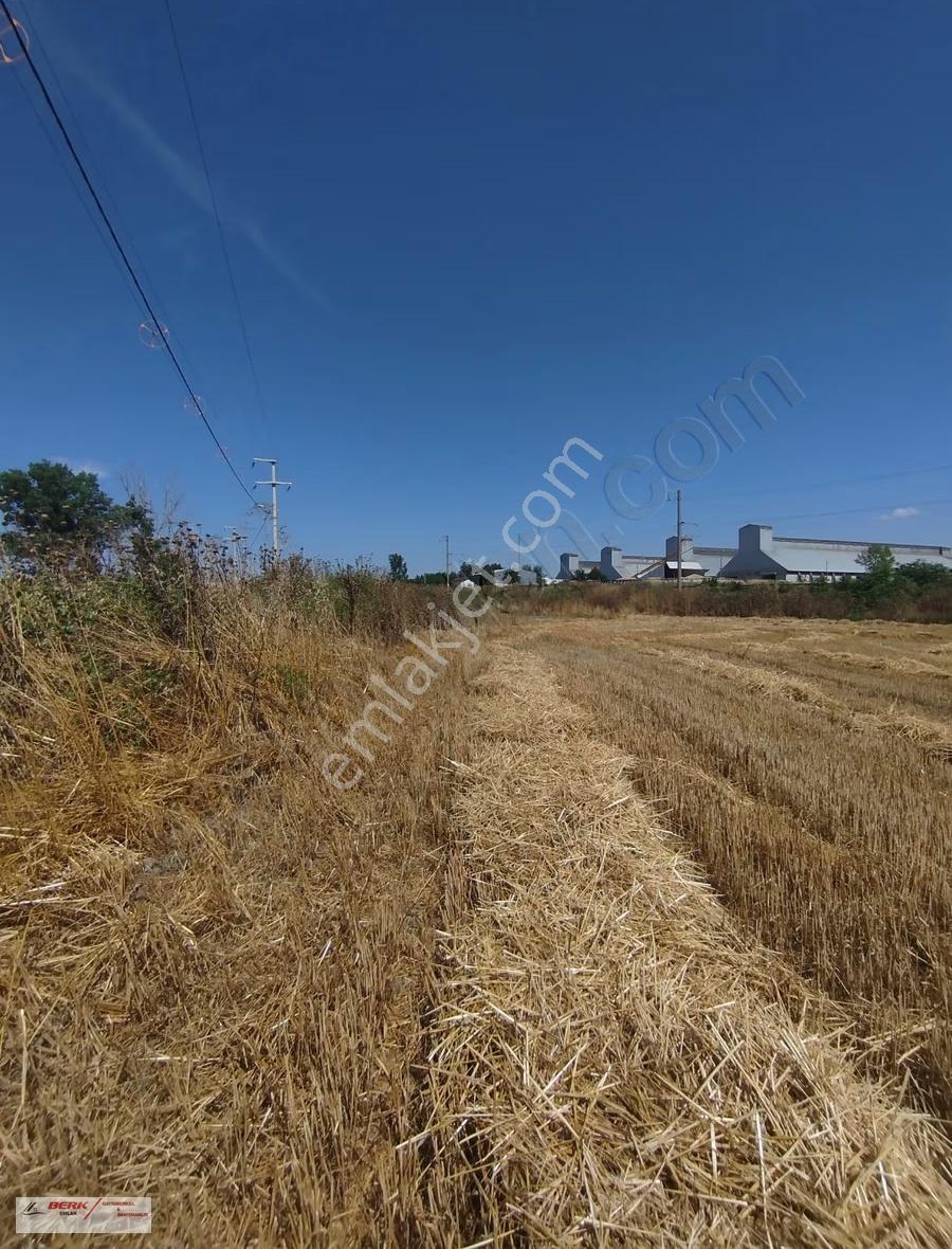Tekirdağ Muratlı Muradiye Mh'de Satılık 2127m2 Arsa - Görsel 7