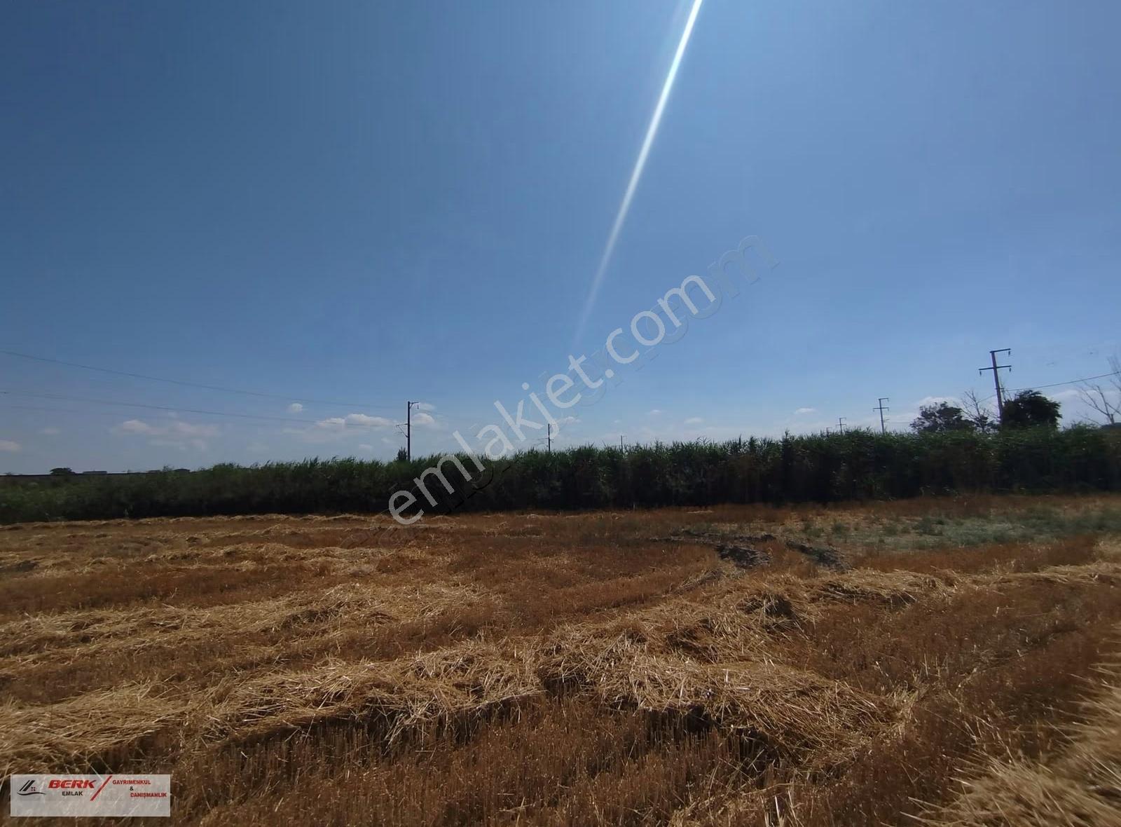 Tekirdağ Muratlı Muradiye Mh'de Satılık 2127m2 Arsa - Görsel 5