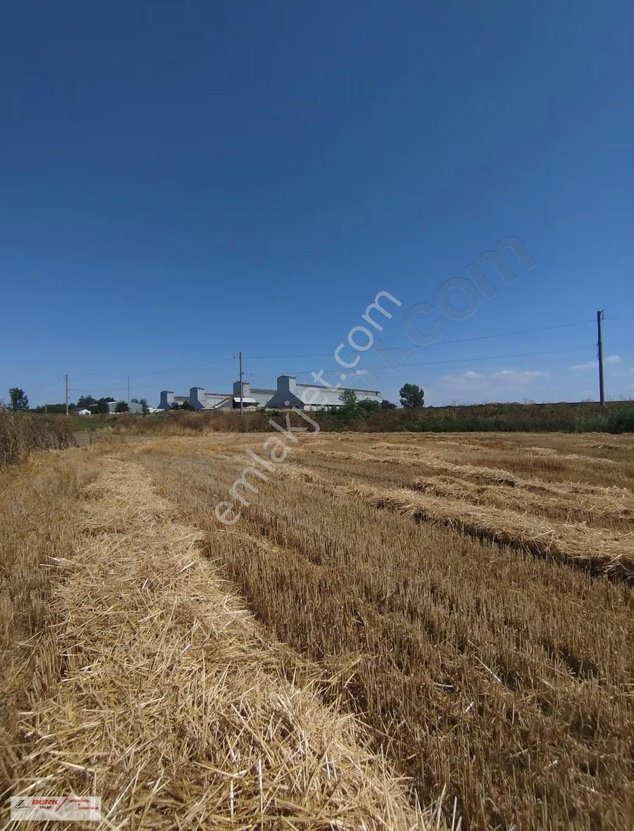 Tekirdağ Muratlı Muradiye Mh'de Satılık 2127m2 Arsa - Görsel 2