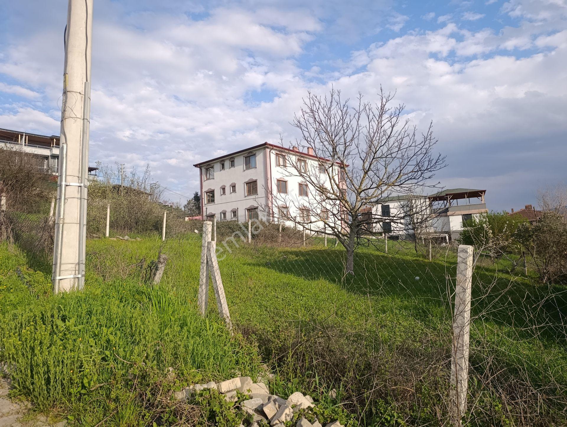 Geyve Alifuatpaşa Konut İmarlı Arsa - Görsel 7