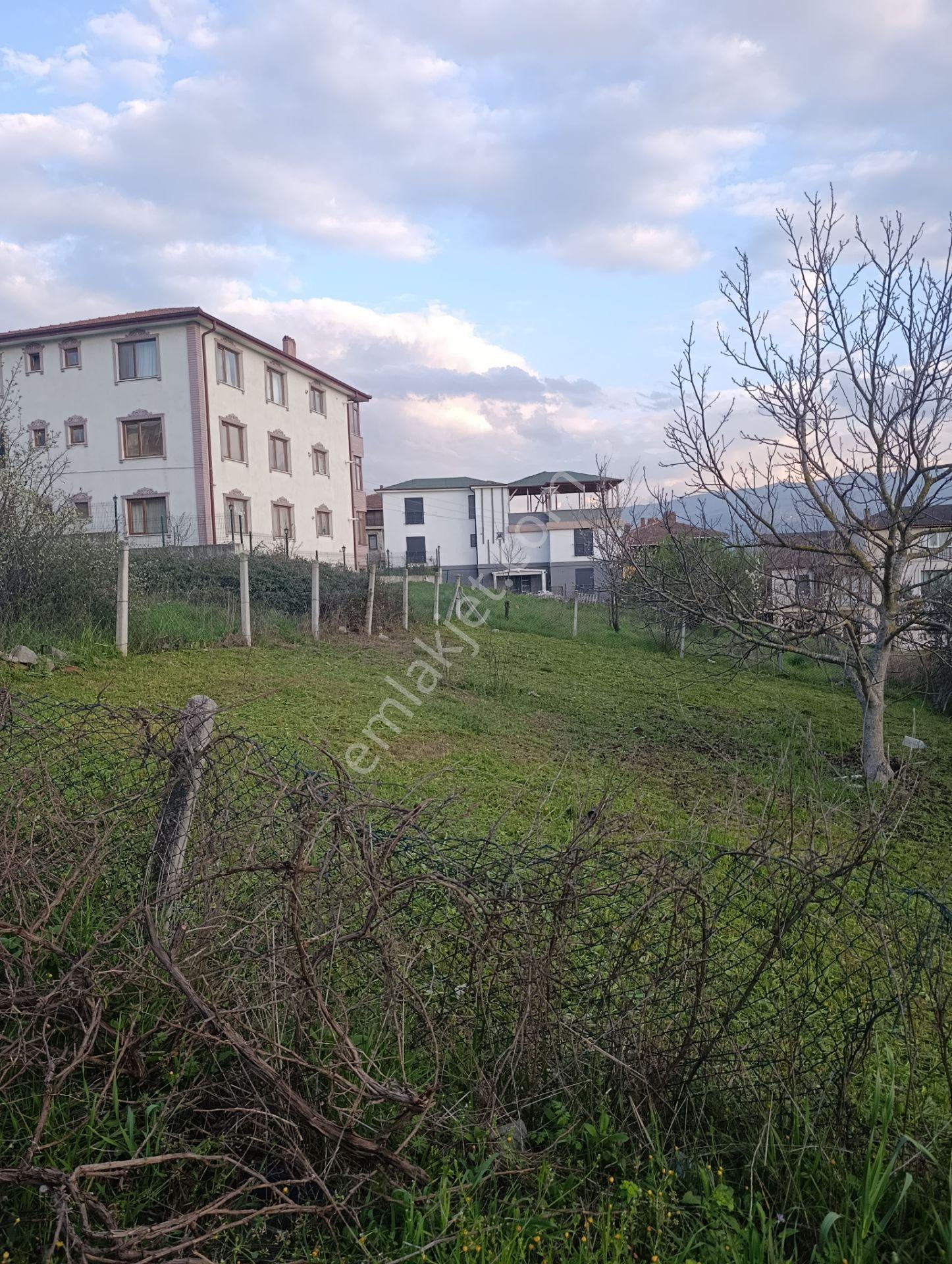 Geyve Alifuatpaşa Konut İmarlı Arsa - Görsel 8
