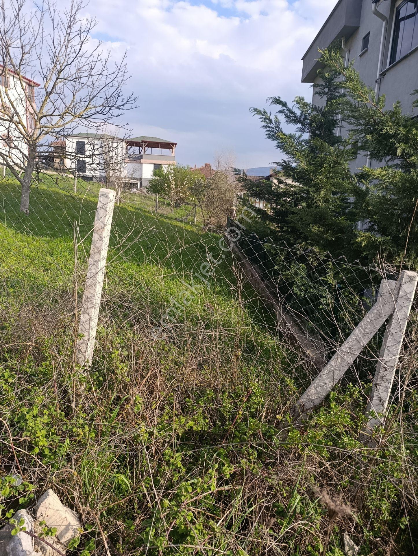 Geyve Alifuatpaşa Konut İmarlı Arsa - Görsel 6