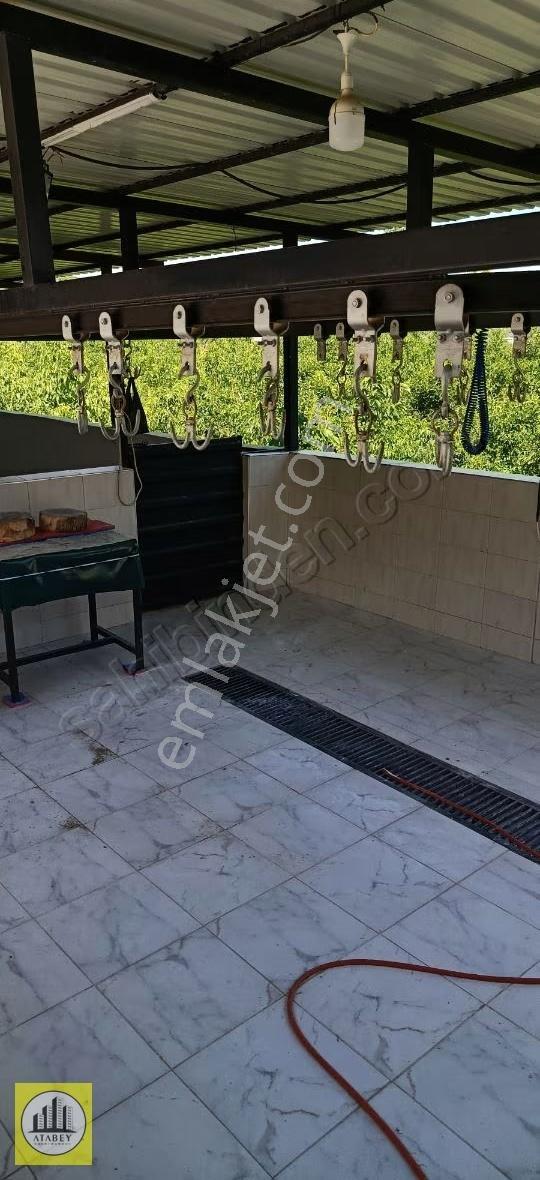 Denizli Honaz Karateke Satılık Arsa - Görsel 12