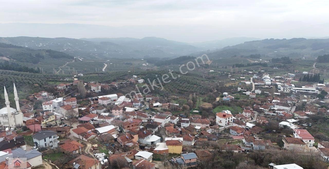 Mudanya Çepnide Köy İçi İmarlı 1563 M² Arsa - Görsel 13