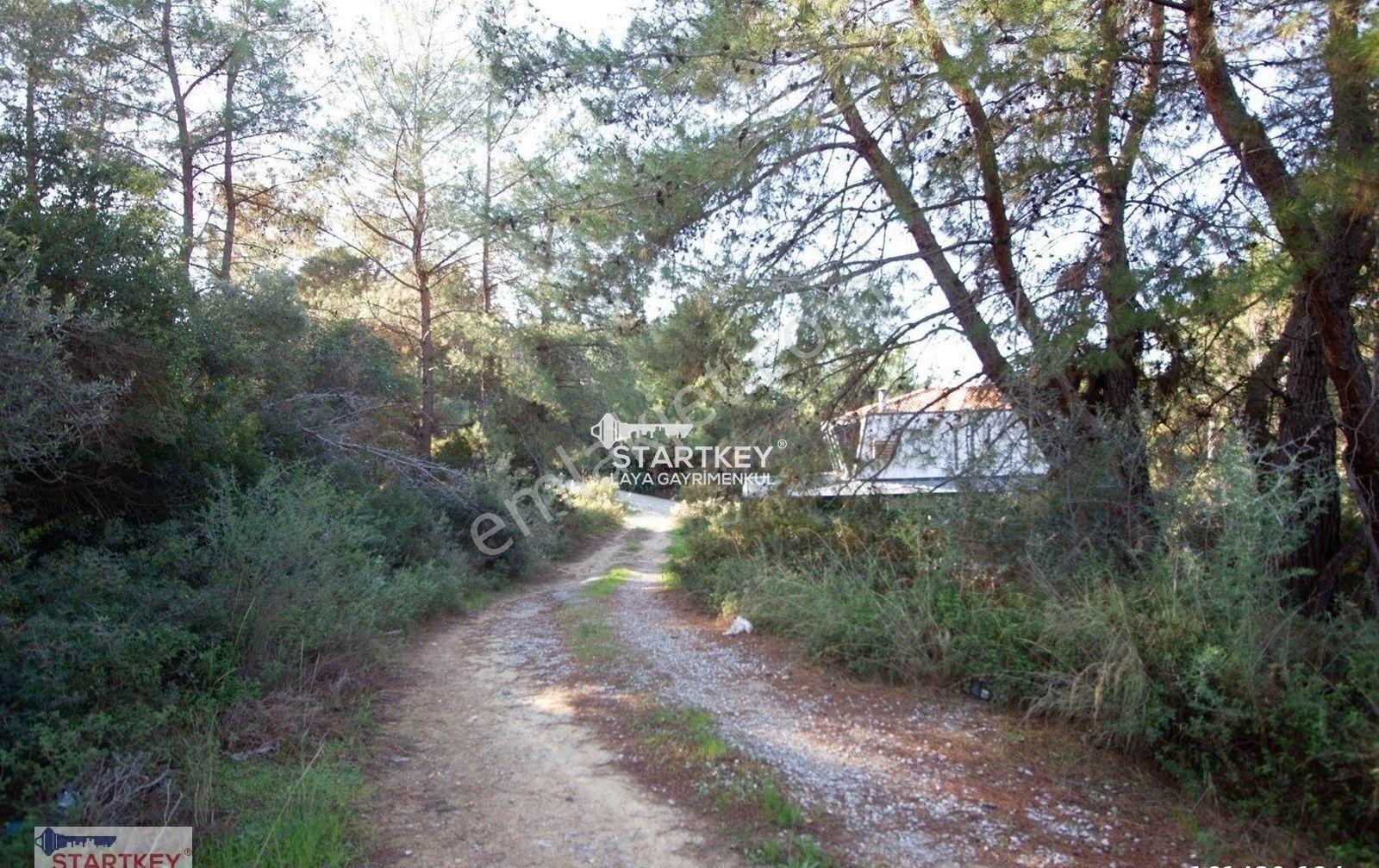 Kuşadası Soğucak'ta Kısmi Deniz Manzaralı, Villa İmarlı 2 Parsel - Görsel 7