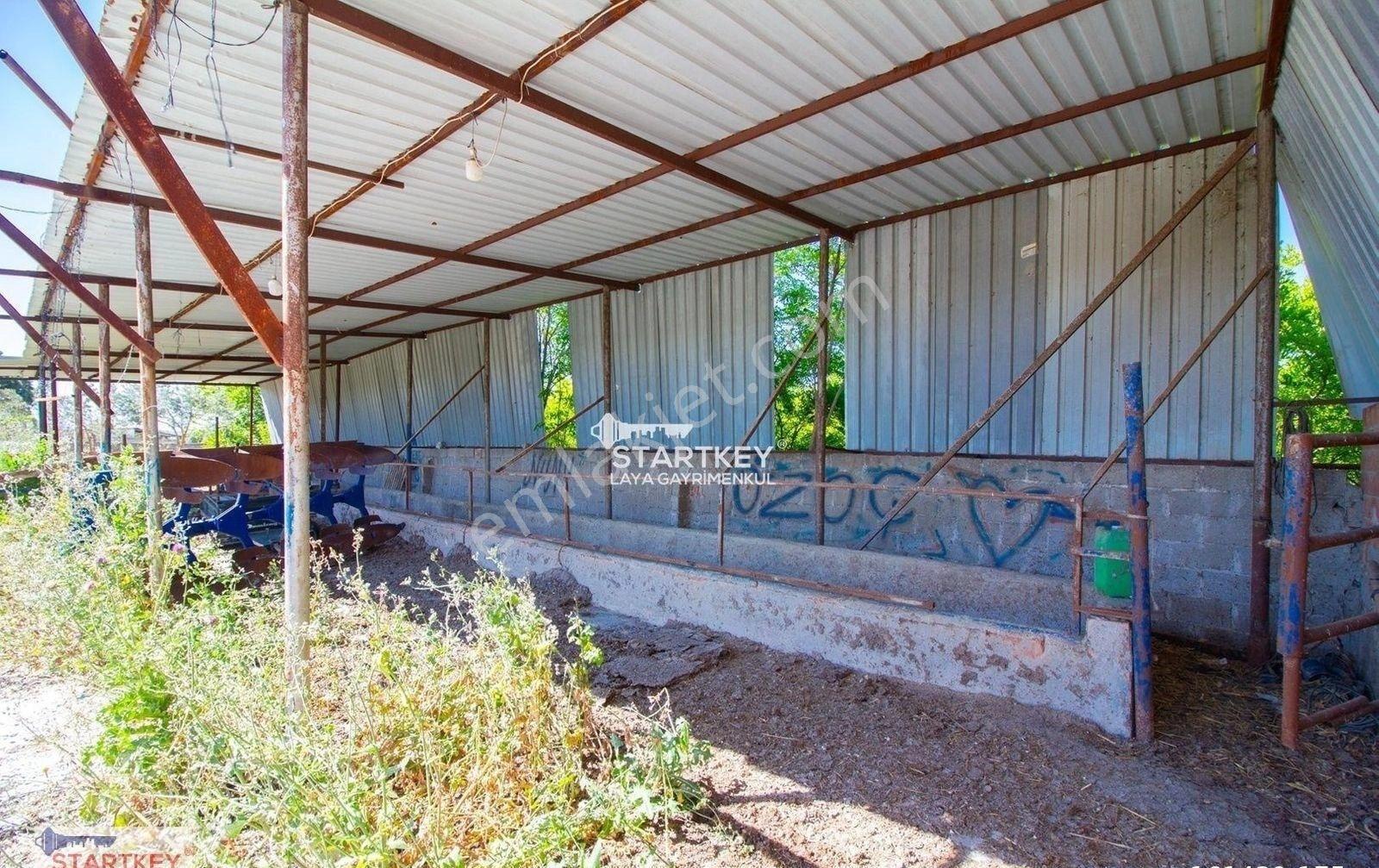 Söke Burunköy'de Doğanın Kalbinde Şehirden Uzak Özel Yaşam Alanı - Görsel 28