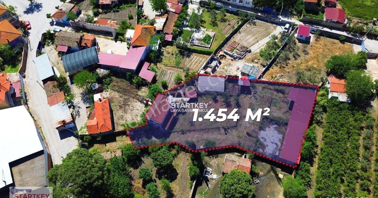 Söke Burunköy'de Doğanın Kalbinde Şehirden Uzak Özel Yaşam Alanı