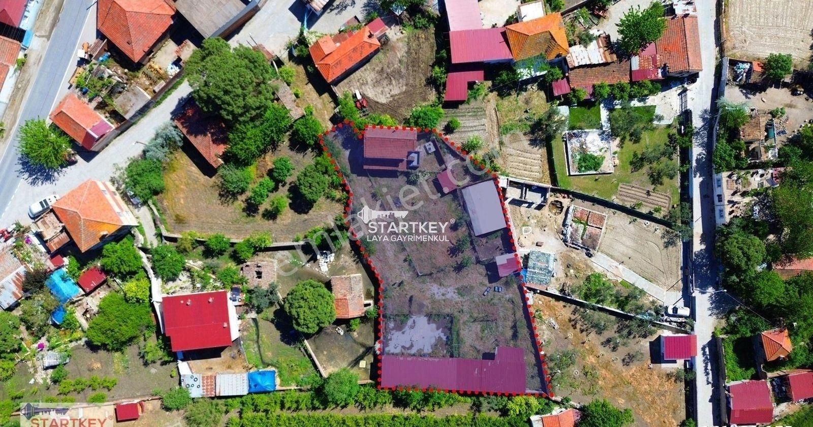 Söke Burunköy'de Doğanın Kalbinde Şehirden Uzak Özel Yaşam Alanı - Görsel 12
