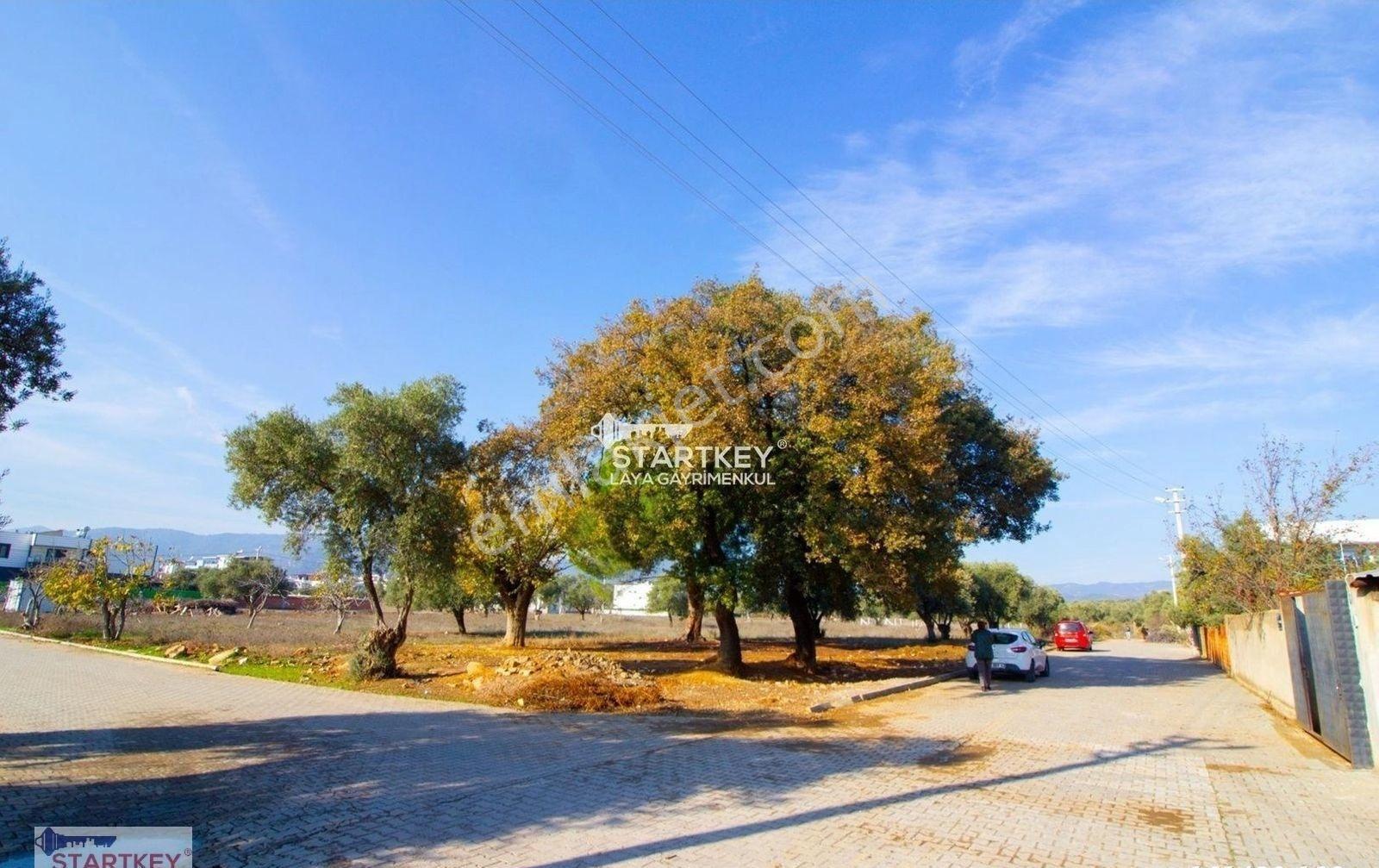 Ortaklar Mahallesi'nde Satılık İmarlı Arsa - Görsel 16