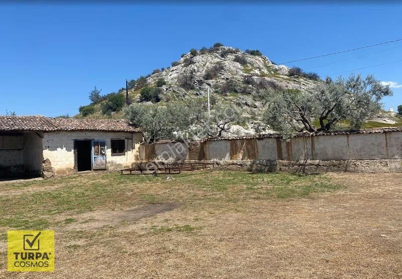 Çerkez Evi Taş Evi Olan Arazi - Görsel 5
