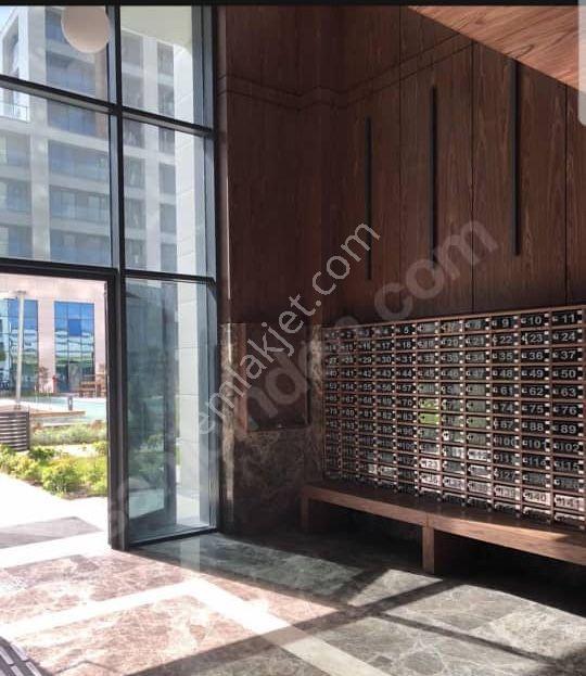 Fikirtepe Torkam Kiralık 1+1 Daire - Görsel 2