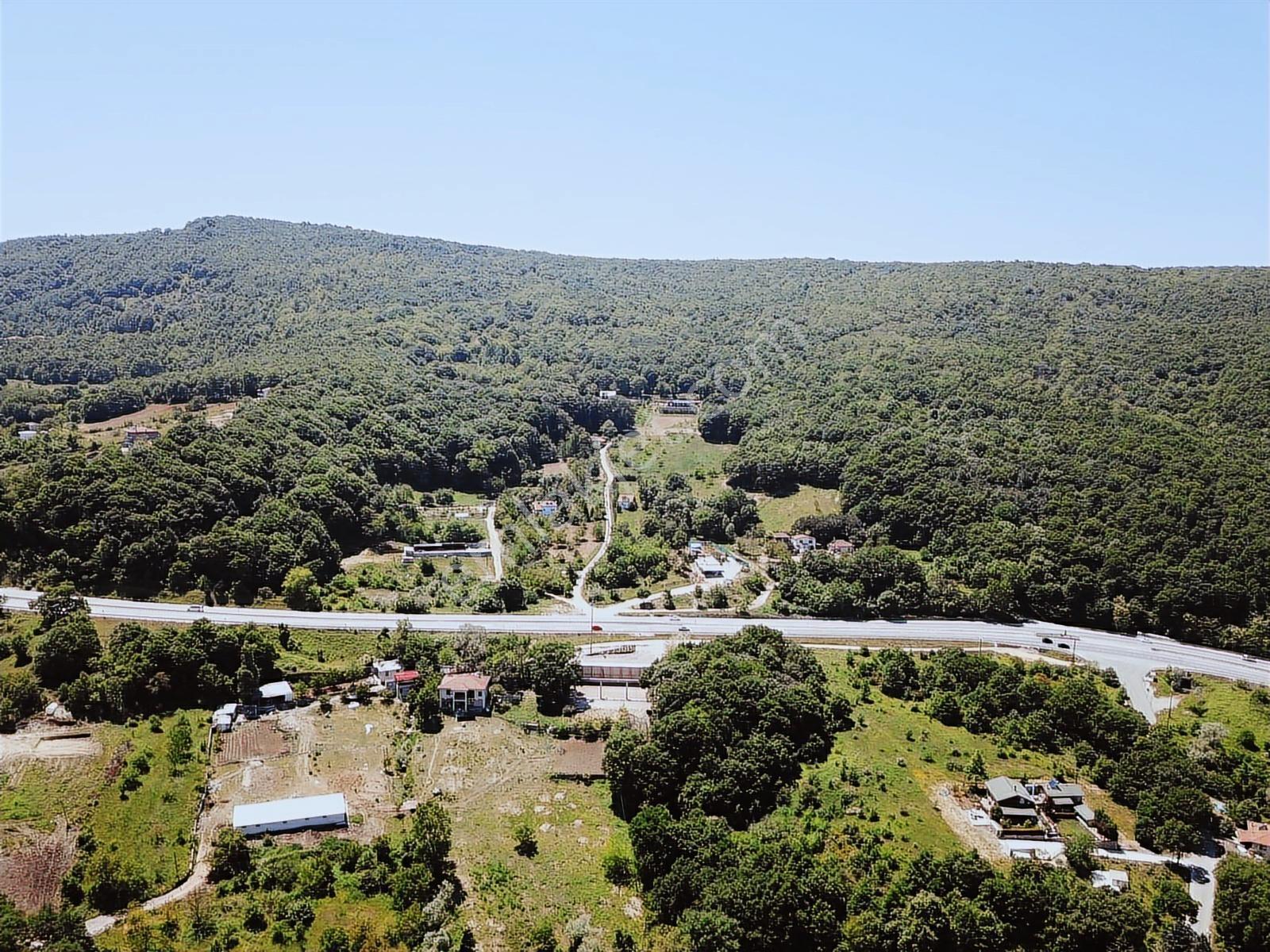 Yalova Esadiye Köyünde 12.950m2 Arazi İçinde Satılık Çiftlik Evi - Görsel 25