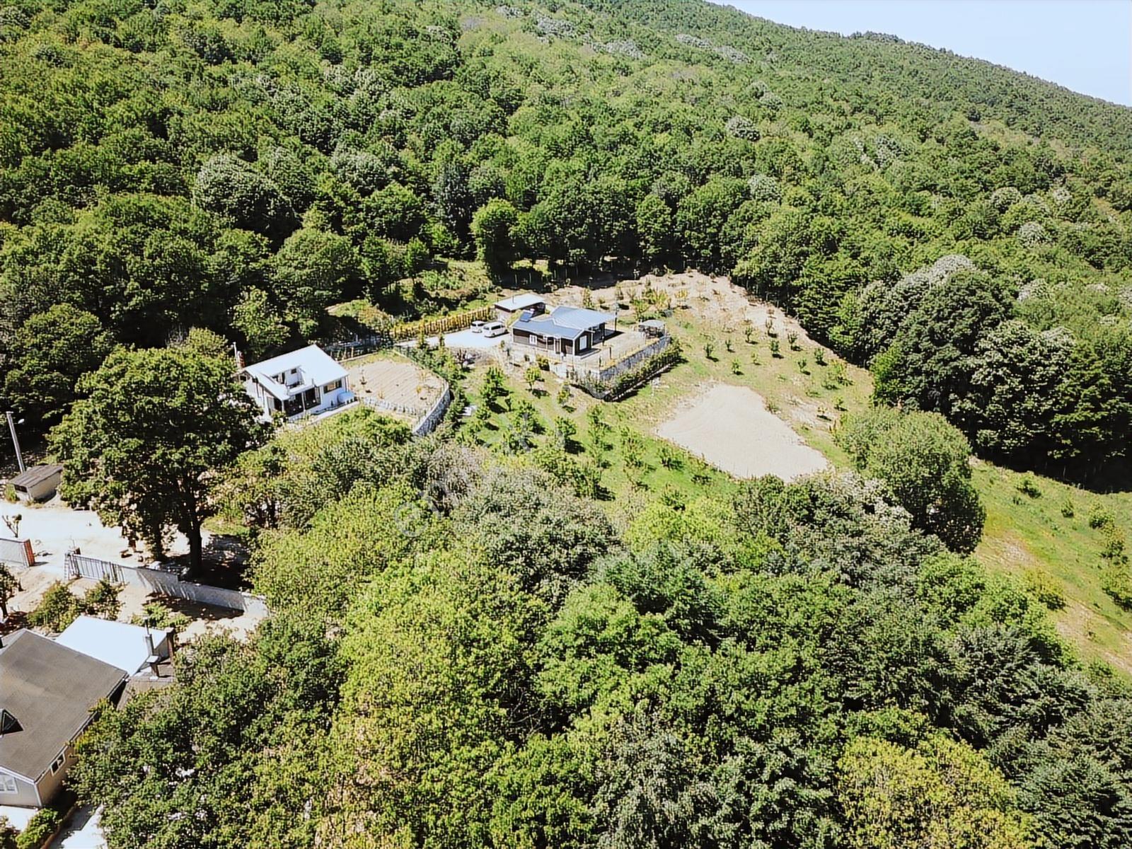 Yalova Esadiye Köyünde 12.950m2 Arazi İçinde Satılık Çiftlik Evi - Görsel 13