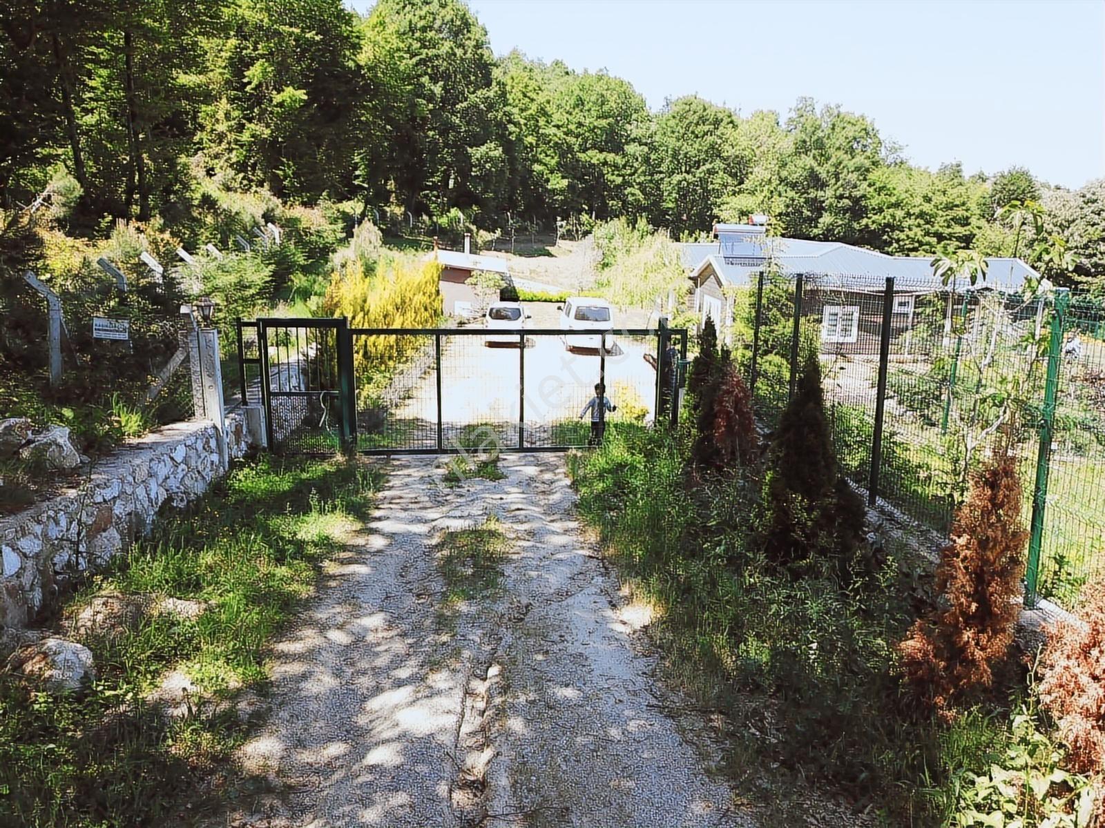 Yalova Esadiye Köyünde 12.950m2 Arazi İçinde Satılık Çiftlik Evi - Görsel 14