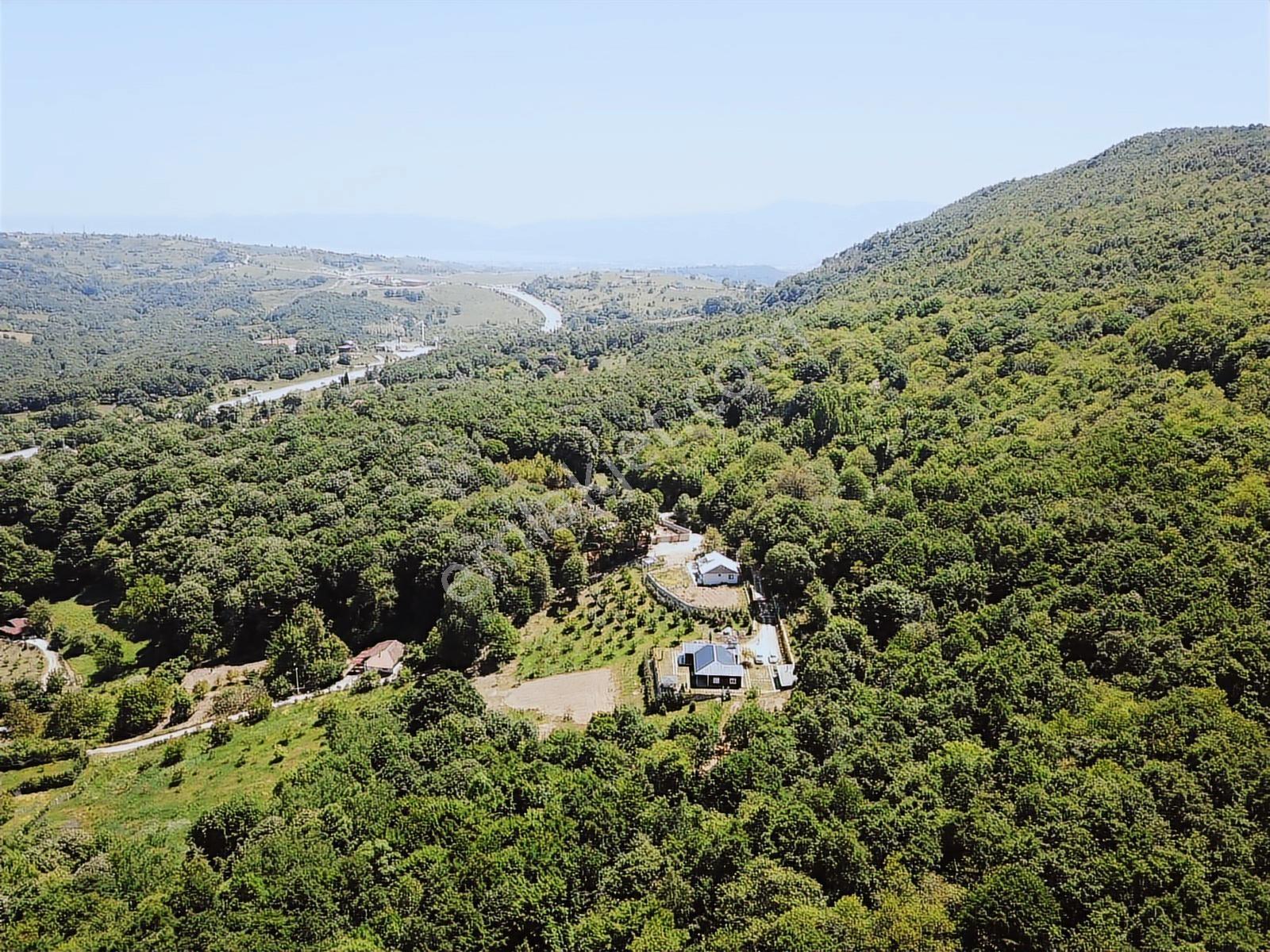 Yalova Esadiye Köyünde 12.950m2 Arazi İçinde Satılık Çiftlik Evi - Görsel 16