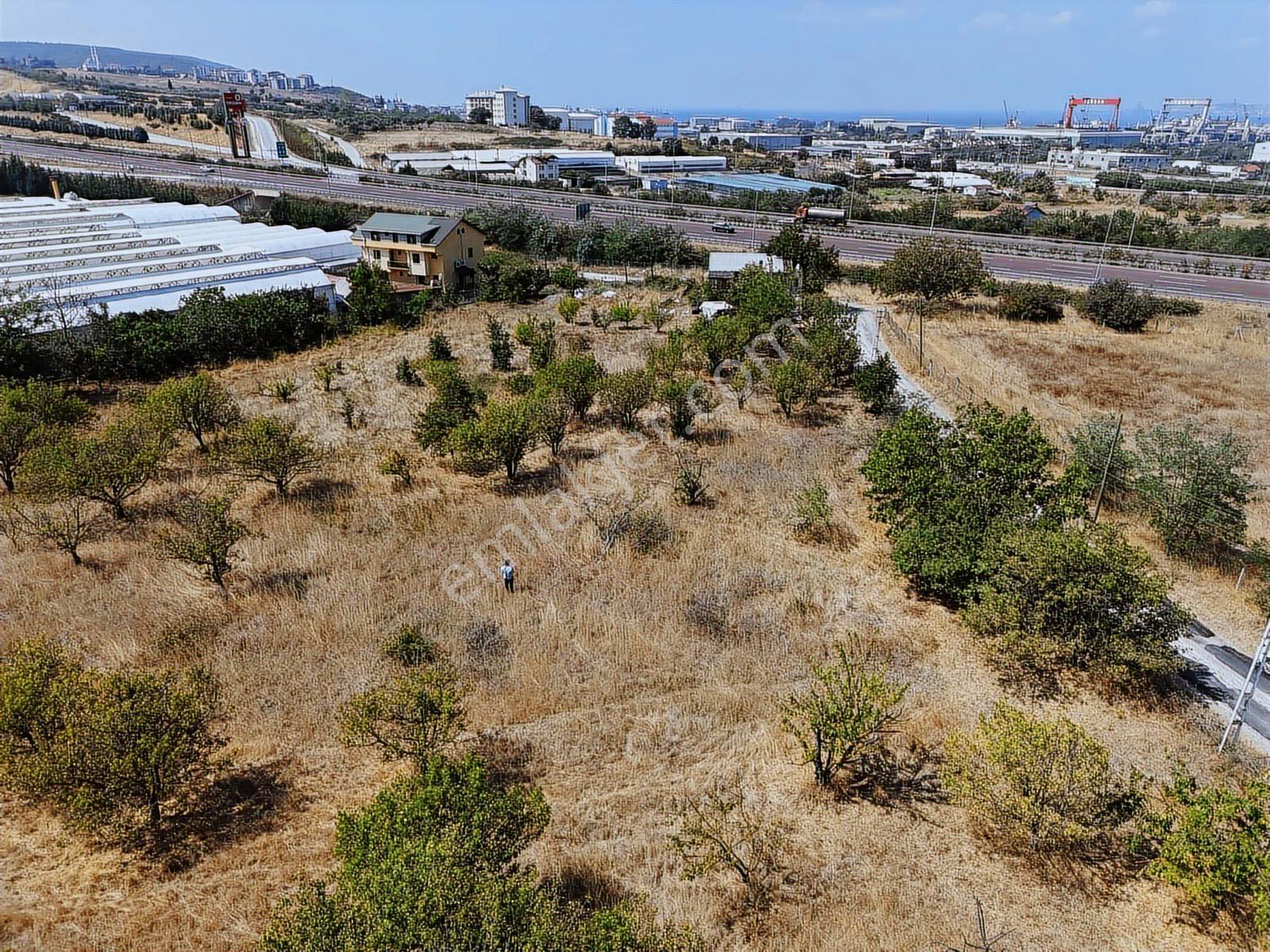 Re/max Şehir'den Altınova Çavuşçiftliği Satılık 834m2 Arsa - Görsel 9