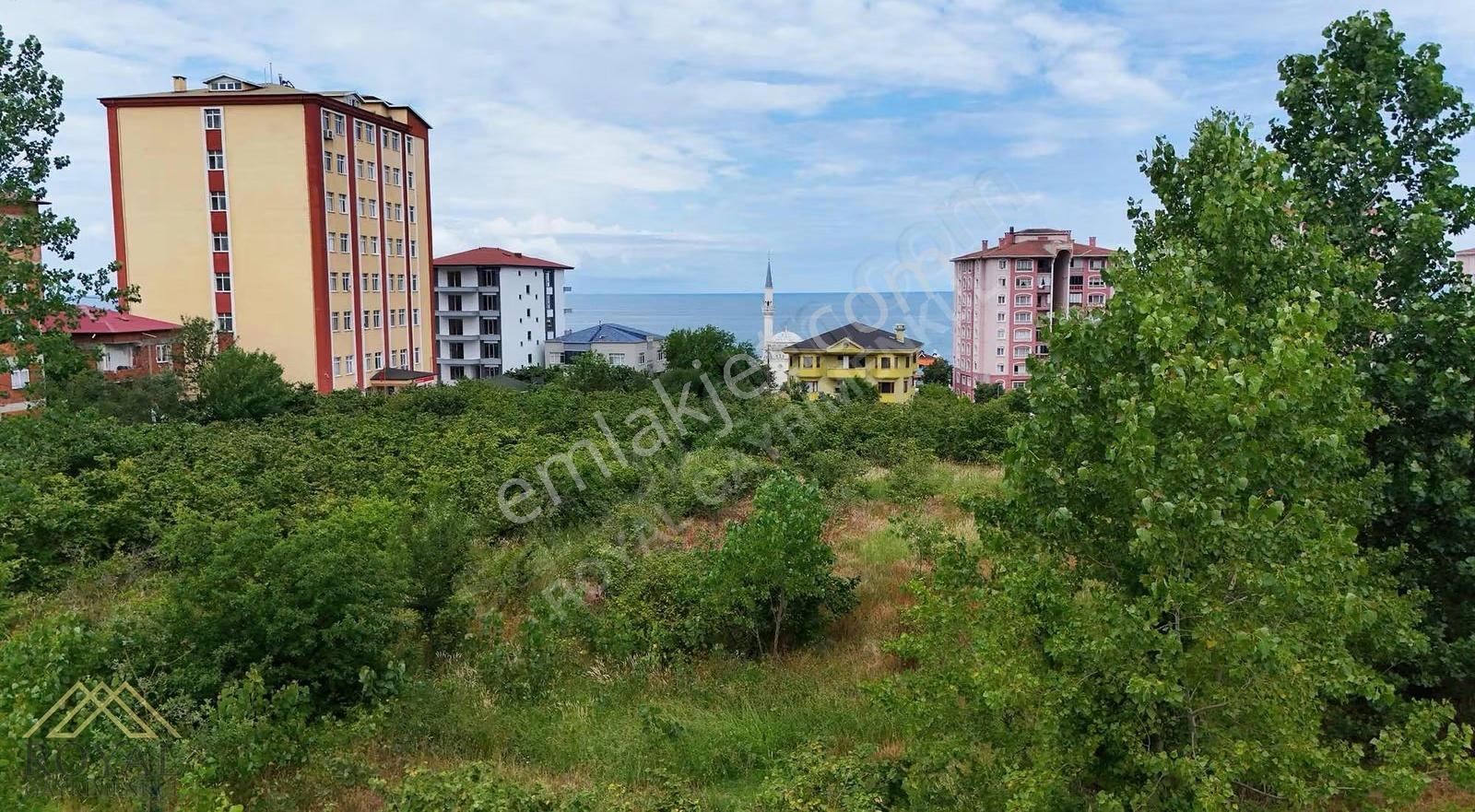Arsin'de Satılık İmarlı Arsa Fırsatı - Görsel 9