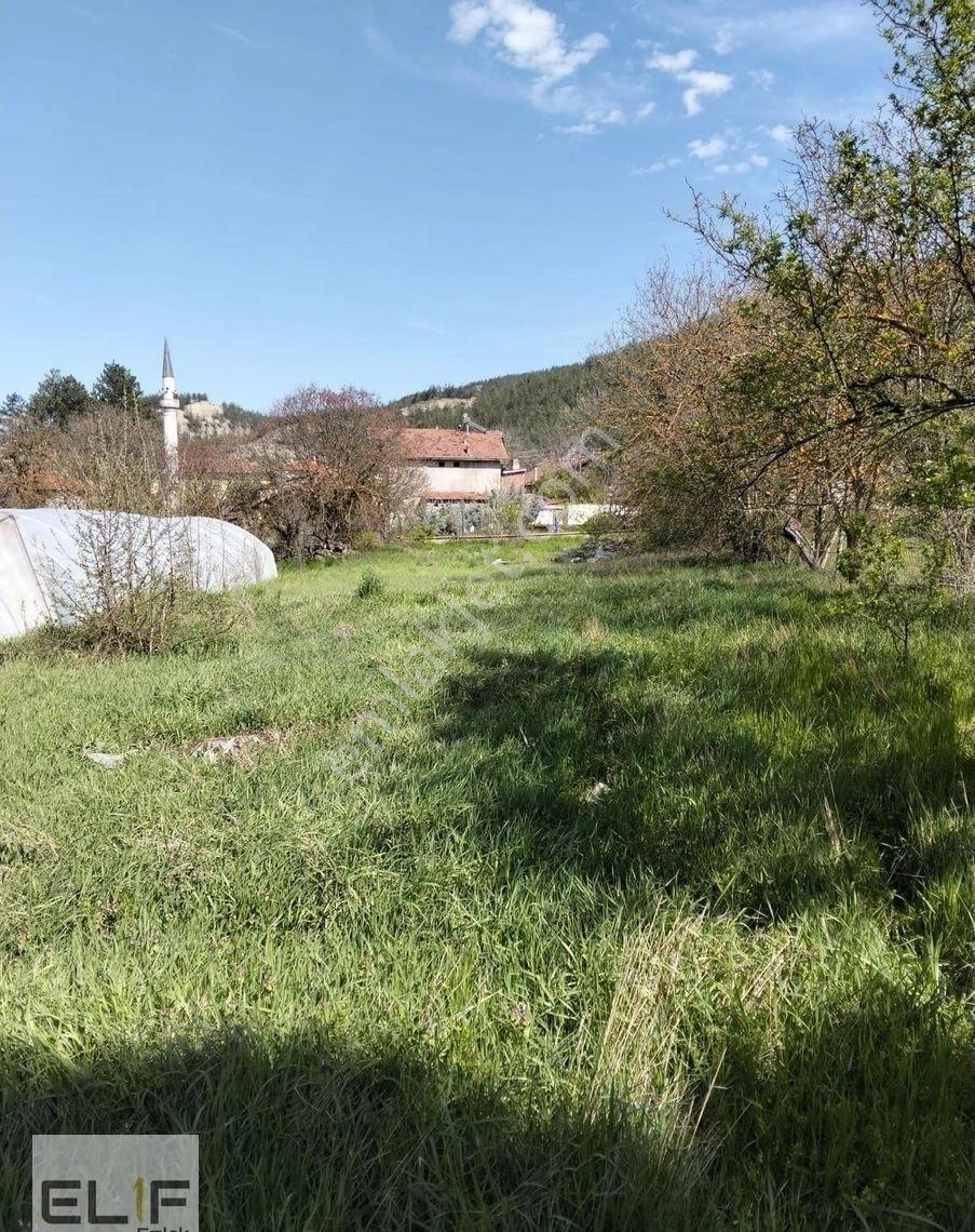 Karıt'ta Satılık Harika Bir Hobi Bahçesi - Görsel 3