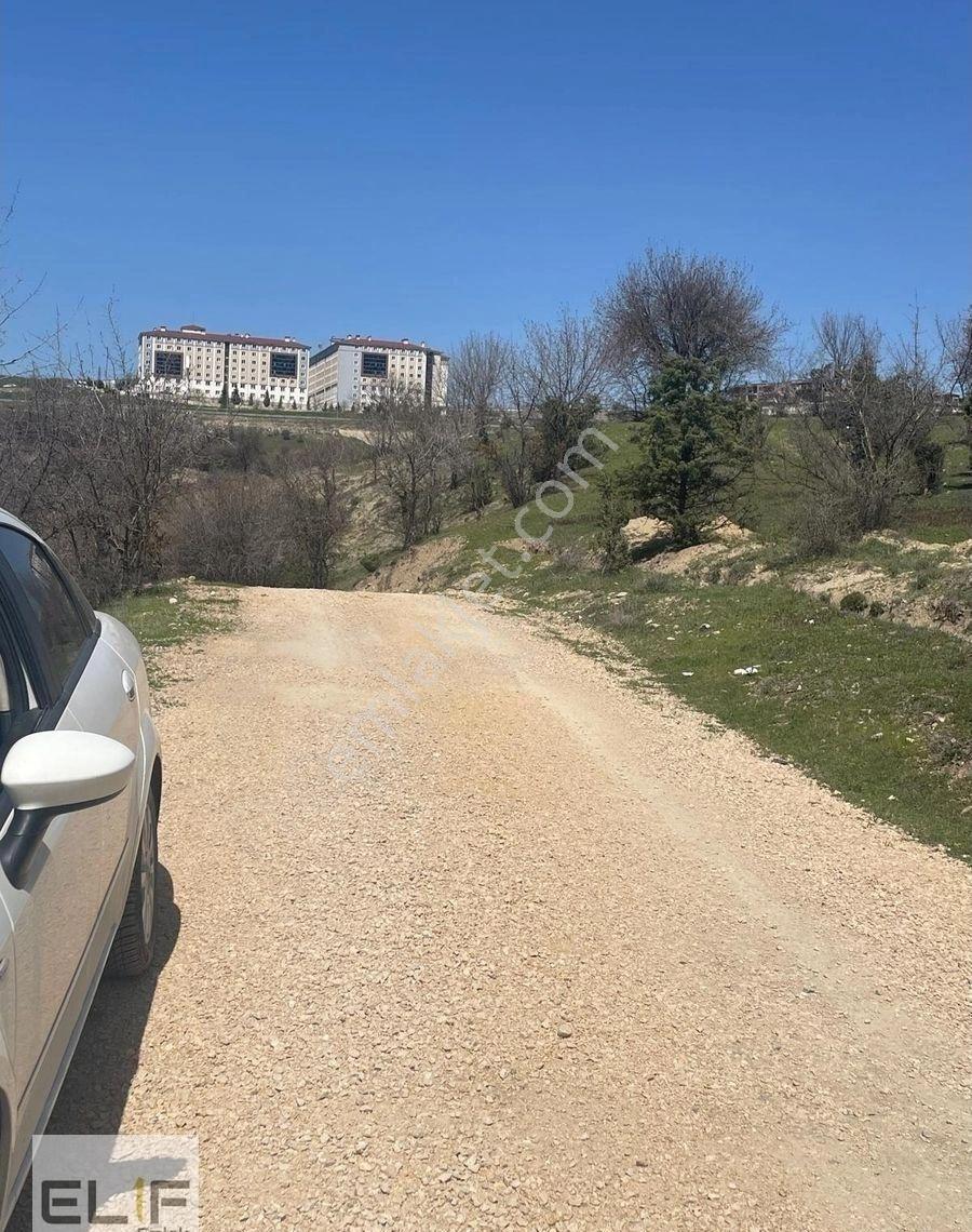 Karıt'ta Harika Lokasyonda Satılık Yatırımlık Tarla - Görsel 6
