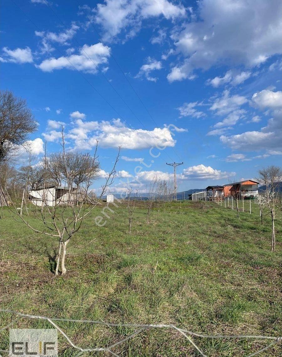 Hacılarobası'nda Yol-su-elektrik Sorunu Olmayan Satılık Tarla - Görsel 11