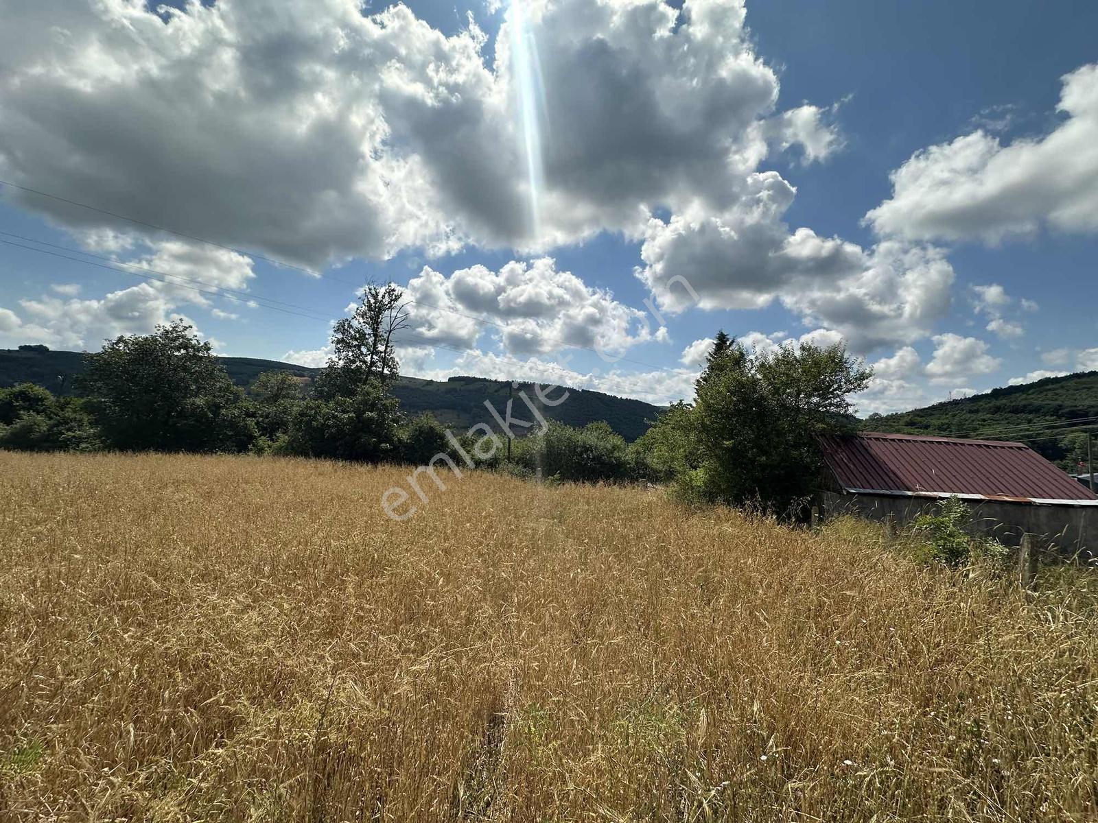 Truva'dan Kavak Saraykent'te 8303 M2 Ana Yola Yakın-yatırımlık - Görsel 6