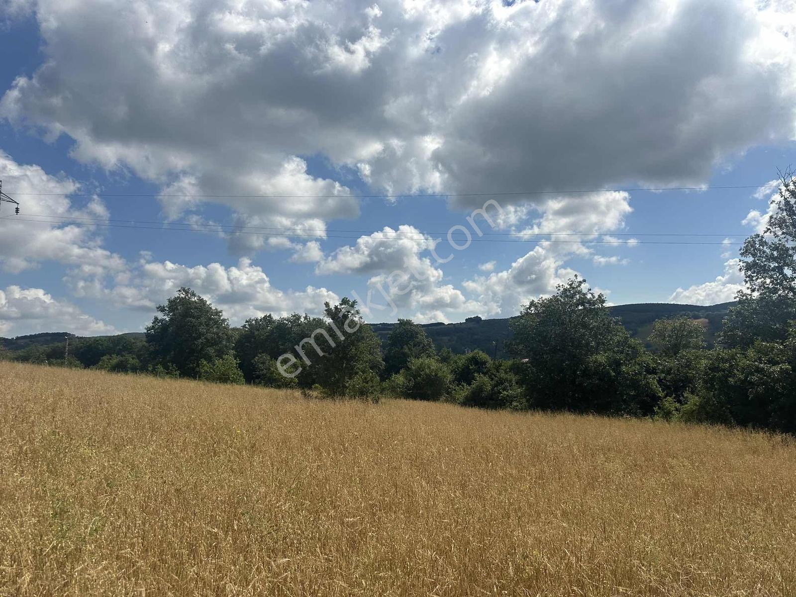 Truva'dan Kavak Saraykent'te 8303 M2 Ana Yola Yakın-yatırımlık - Görsel 10