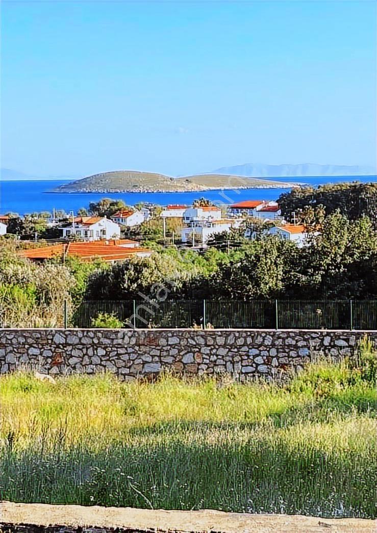Datça Palamutbükü'nde 1.120 M2 İmarlı Deniz Manzaralı Arsa - Görsel 13