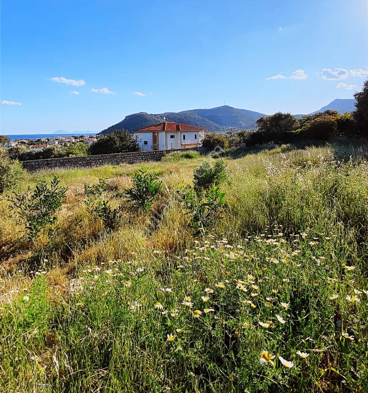Datça Palamutbükü'nde 1.120 M2 İmarlı Deniz Manzaralı Arsa - Görsel 34