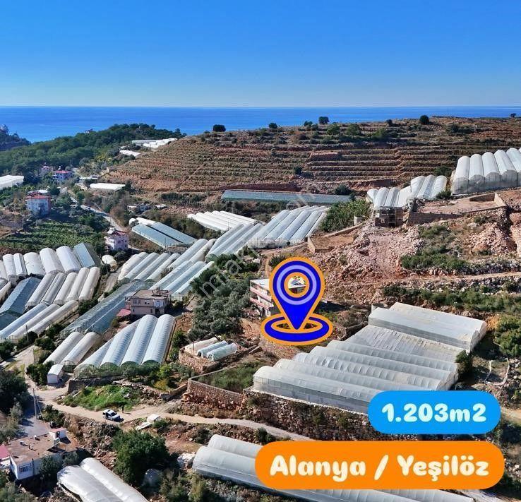 Antalya Alanya Satılık Villa Arsası - Görsel 2