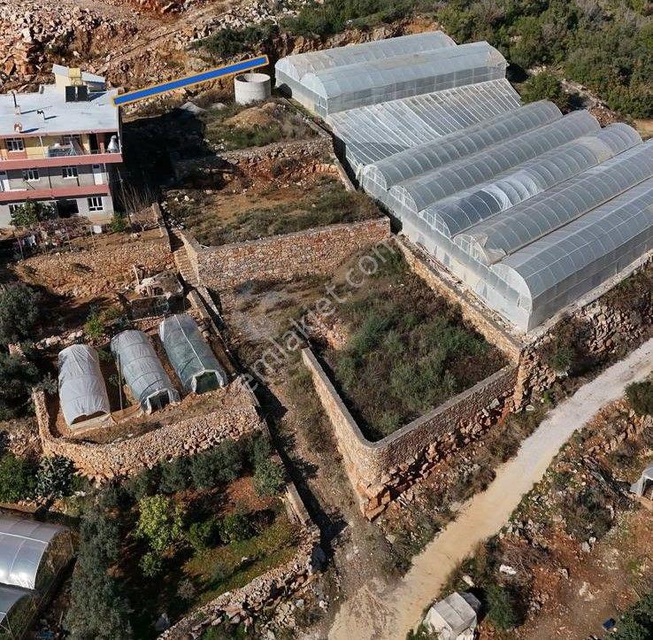 Antalya Alanya Satılık Villa Arsası - Görsel 6