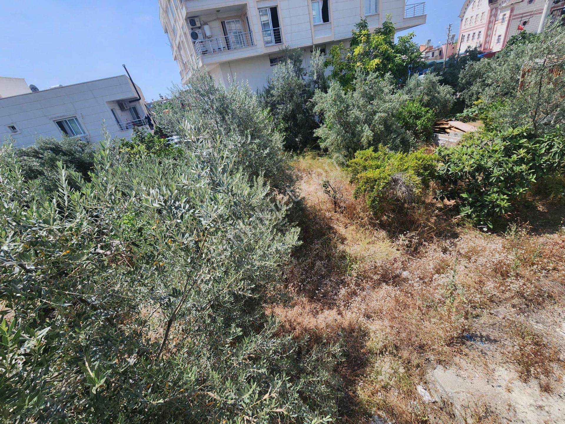 ░_*arcıty*_░den Gelişim Bölgesinin Merkezinde 348 M² Kupon Arsa - Görsel 10