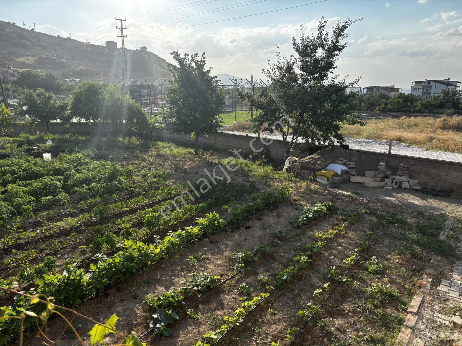 Hacılar Karpuzsekisi Üç Katlı Meyve Bahçeli Müstakil Ev - Görsel 22