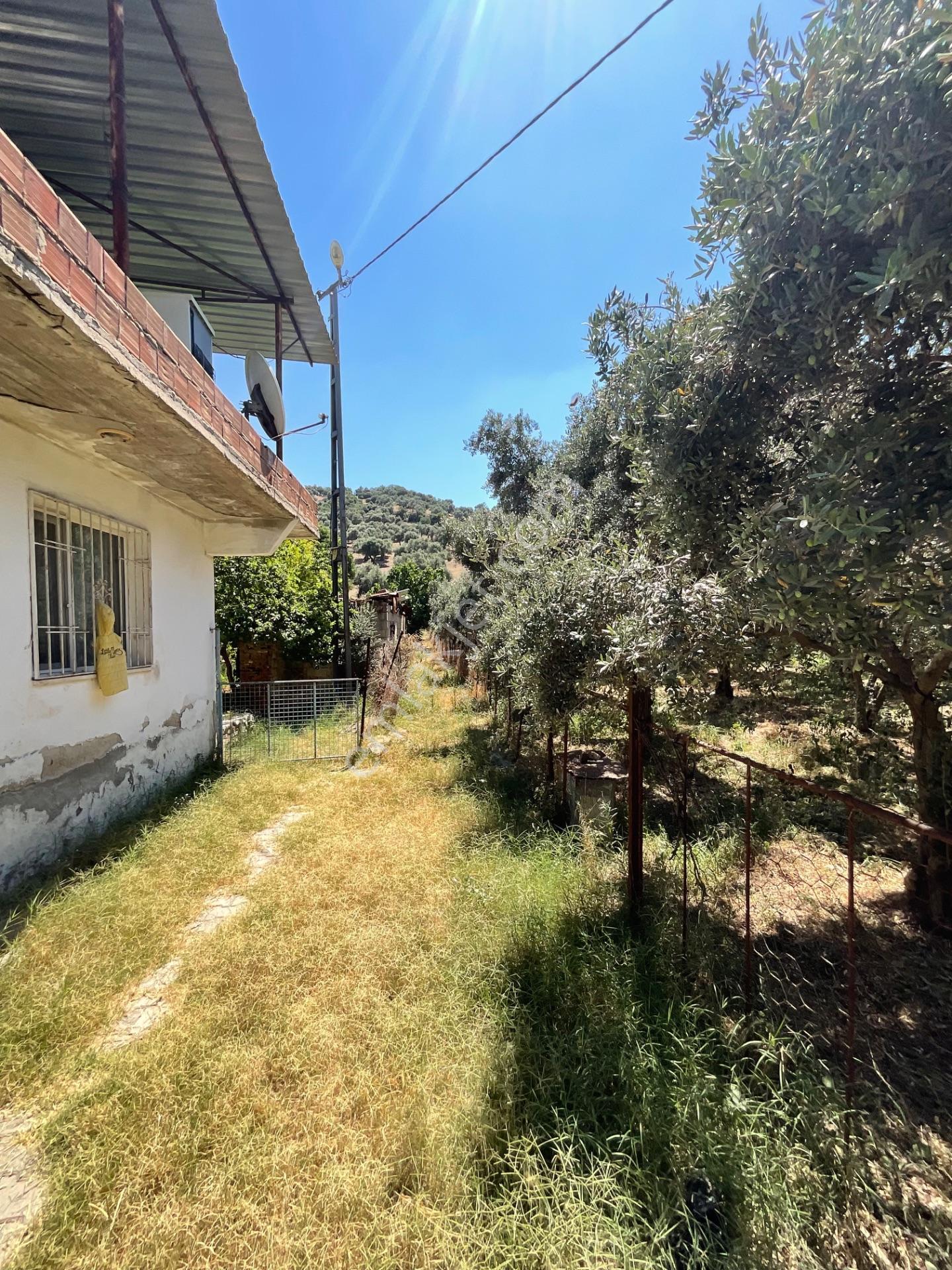 Aydın Çine Bahçearası’nda 2193 M² Satılık İmarlı Arsa - 130 Zeytin Ağaçlı - Görsel 29